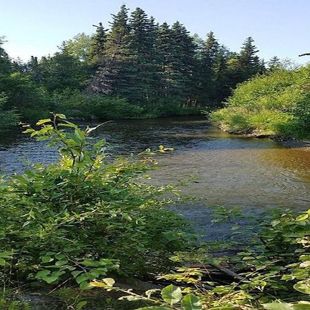 Moose Meadows- Near The Airport, Centrally Located Anchorage Eksteriør bilde