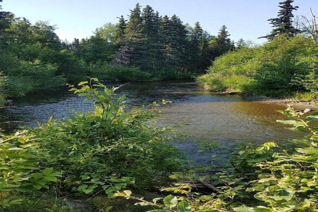 Moose Meadows- Near The Airport, Centrally Located Anchorage Eksteriør bilde